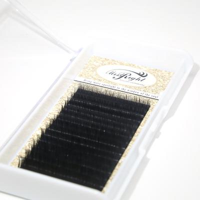 China Mink Lashes classic full volume strand extension, natural semi permanent eyelashes, mink eyelash seller for sale