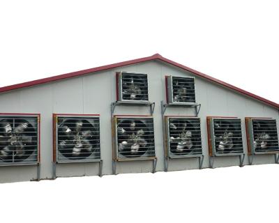 China Farm China Large Scale Steel Structure Poultry Chicken Farms Poultry House For 10000 Chickens for sale