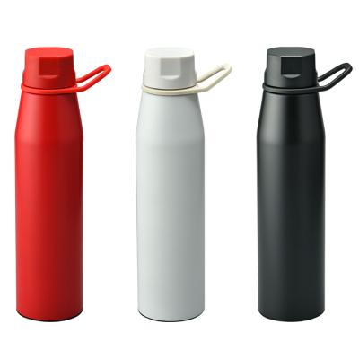 China 550ml Classic Brand Beverage Stored Double Wall Vacuumed Water Bottle for sale