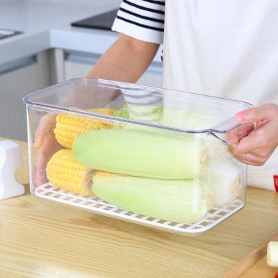 China Creative Freshness Preservation Chamber Pant Fridge Fruit Storage Box With Lid Pet Fridge Cool Box Food Storage Plastic Universal Organizer for sale