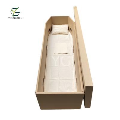 China 100% Biodegradable Biodegradable Cardboard Casket Box And Cheap Price Plain Cardboard Casket Casket for sale