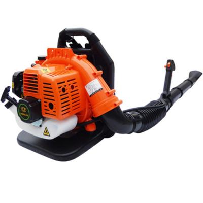 China Professional Two Stroke 75.6cc Greenhouse Dust Garden Snow Blower Gasoline Air Leaf Fans Long Life for sale