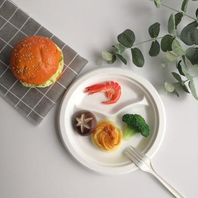 China 100% Biodegradable China Selling Disposable Dishes 2 Compartments Biodegradable Bagasse Dish for sale