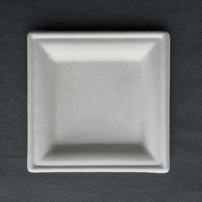 China 6Inch 8Inch 10Inch Disposable Eco-Friendly Disposable Biodegradable Disposable Eco-friendly Dishes Square Paper Plate for sale