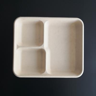 China Eco Friendly Oil-proofing Bagasse Pulp 3 Compartment Biodegradable Food Tray for sale