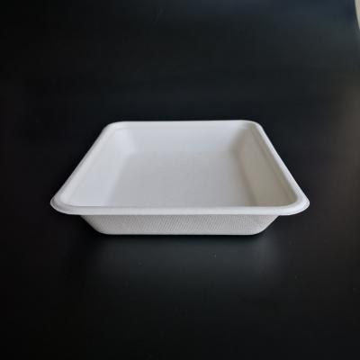 China Oil-proofing degradable food container made from bagasse made in china for sale