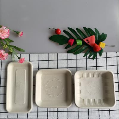 China Biodegradable Tote Tray Grill Bagasse Tableware Tray Oil-proofing Tableware Natural Disposable Compostable Bagasse for sale