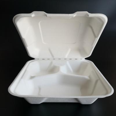 China Eco Friendly Takeaway Biodegradable Food Lunch Box Disposable Food Bento Box for sale