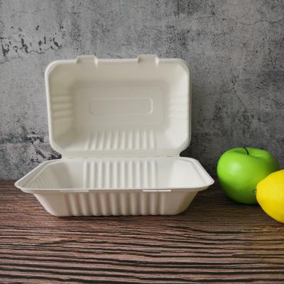 China Oil-proofing Eco-friendly Disposable Biodegradable Bento Lunch Boxes With Lid for sale