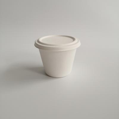 China 425Ml 500Ml Disposable Biodegradable Sugarcane Pulp Cups Soup Biodegradable Cup With Lid Paper Pulp Biodegradable Cup Holder for sale