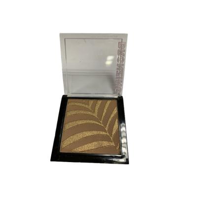 China Wholesale Girl Special Hot Sale Silk Brown High Quality Palette Bronzing Powder for sale