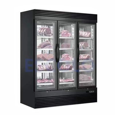 China Strong Air Purification Single-temperature Meat Ager Dry Aged Aging Chiller Beef Refrigerator for sale