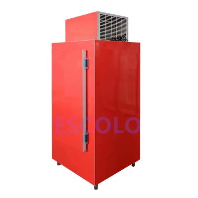 China Single-temperature Commercial Refrigerated Ice Storage Bagged Bin Freezer for sale