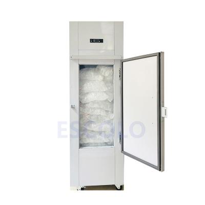 China Energy Efficiency Bagged Ice Storage Bin In Gas Station With Solid Door for sale