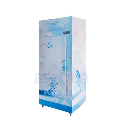 China Energy Efficiency Solid Door Bagged Storage Freezer Box Containers Ice Merchandiser for sale