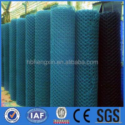 China Best service high quality low price good reputation fish trap wire /hexagonal wire mesh /chicken wire for sale