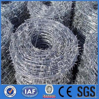 China Barbed Wire Mesh Razor Chain Link Fence Catalog List for sale