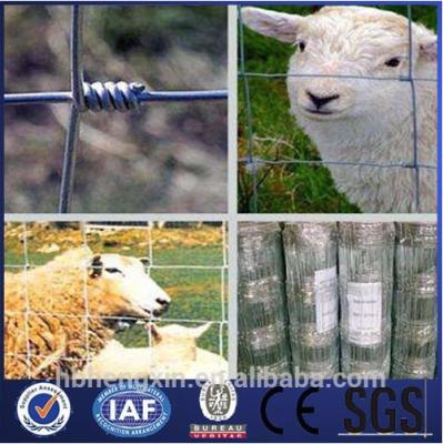 China Easily Assembled Horse/Sheep/Goat/Caw Barns for Ranch/Farm/Field/Cattle Fence (China Factory) for sale