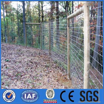 China Competitive Price New Design 2X4 Decoration Farm Twisted Fence Easily Assembled Wire for sale