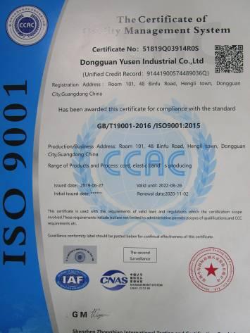 ISO9001 - Dongguan Yusen Industrial Co., Ltd.