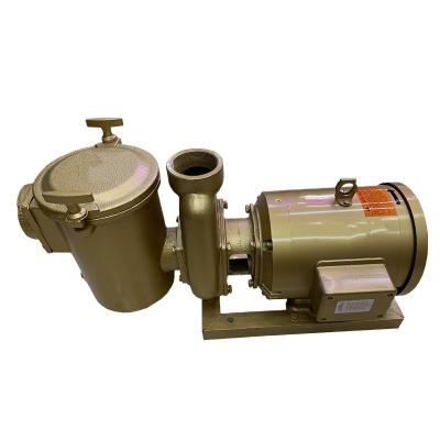 China Villas Manufacturer Direct Brass 380V/50Hz Pump With Filter For Swimming Pool Mounting System for sale