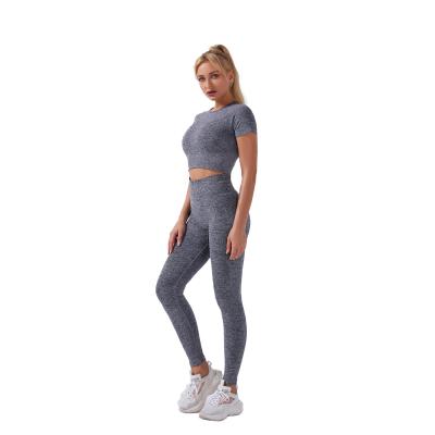 China sport wear QUICK DRY GYM set lady's yoga set/wholesale seamless yoga suit plain sportswear for sale