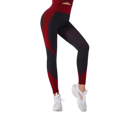 China High flexibility fitness QUICK DRY leggings wholesale promotion running women's leggings yoga pants for sale