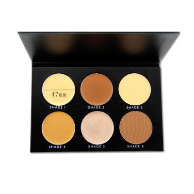 China Concealer Pencil Concealer Palette Private Label High Definition Color Concealer Waterproof Professional Makeup for sale