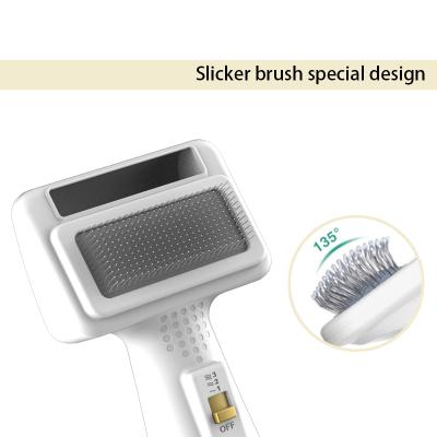 China Hot Selling Viable Ergonomic Handle Design Low Noise Pet Hair Dryer Brush Hand Comb Blow Dryer for sale