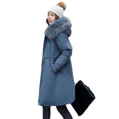 China Running Women's Ditch Coats Winter Anti-Wrinkle Clothes Ladies Windbreaker Bullet Mixed Women's Coats for sale