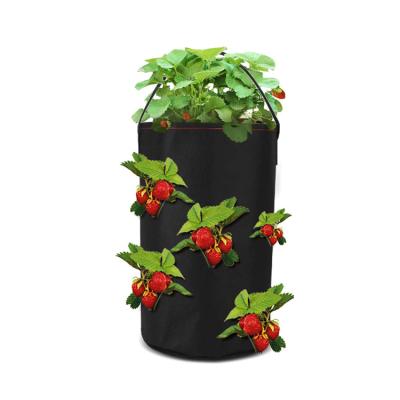 China Eco-friendly Strawberry Planter Plant Fabric Grow Bags Strawberry Garden Felt Field Grow Bag for sale