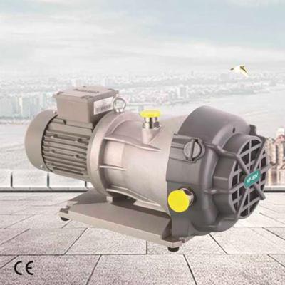 China Automotive Industry Wenling HongBaoShi HP-30V Dry Oil Free Vortex 0.55kw Roller Vacuum Pump HP-30V For Science Research for sale