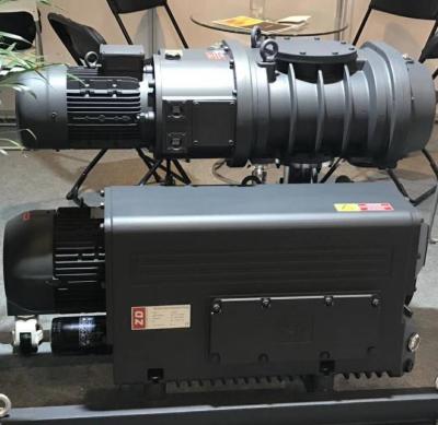 China Industrial Manufacturer 200m3/h 5.5Kw Vane Vacuum Pump and Refrigeration China Rotary Roots Pump Assembled System for High Altitude and Plateau Regions for sale