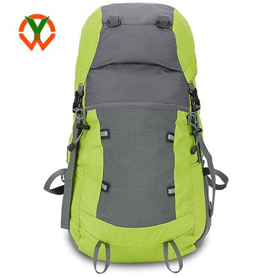 China Outdoor Sports Fitness Anti-theft Lightweight Travel Bag Daypack Waterproof Hiking Camping Backpack for sale