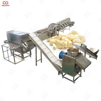 China Fully Automatic Vegetable Processing Plant Gelgoog Garlic Peeled Skin Removing Peeling Production Line Solution for sale