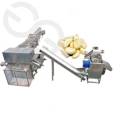 China food & Gelgoog Beverage Plant 1000kg/h Automatic Dry Garlic Peeling Equipment Garlic Processing Plant for sale