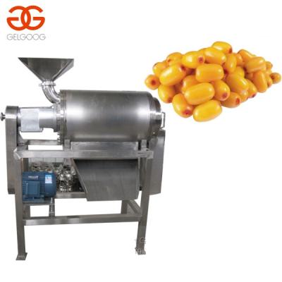 China Beverage Seabuckthorn Juice Squeezer Factory|Seabuckthorn Juice Squeezing Machine|Seabuck Squeezer Machine Price for sale