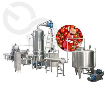 China Automatic Red Fruit Processing Plant Gelgoog Pepper Sauce Processing Machine Tomato Ketchup Production Line for sale