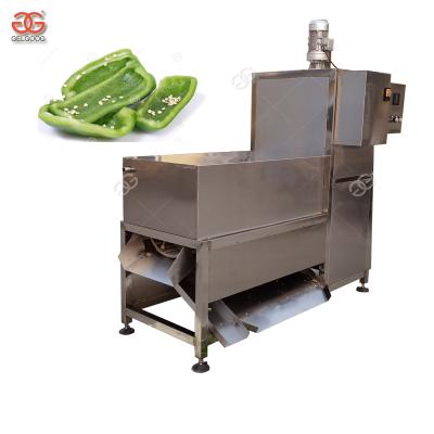 China Gelgoog Dry Chilli Pepper Sowing Solvent Pepper Seed Separating Machine GGP-1000 for sale