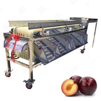 China food & Automatic Beverage Factory Apricot Avocado Sorter Grading Machine for sale