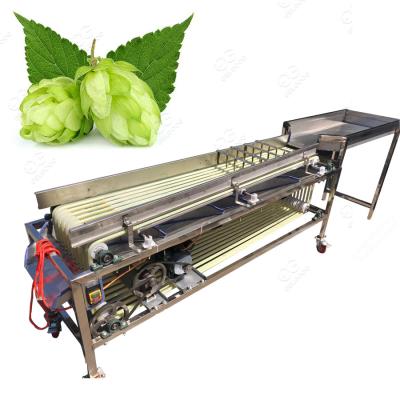 China food & Beverage Factory 2017 New Type Hop Sorting Machine Hops Processing Machine for sale