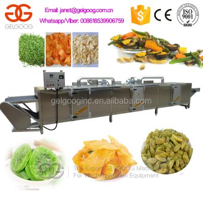 China 304 Stainless Steel Infrared Fruit Slice , Strips Tunnel Drier , Fruit Dryer for sale