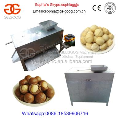 China High Quality Australian Hazel Hulling Shelling Machine|Australian Hazel Biscuit Machine for sale