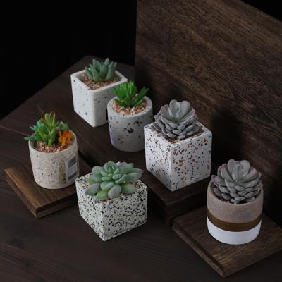 China Custom Rustic Square Home Decor Terrazzo Plant Stand Logo Shape Small Artificial Succulent Plants With Pot for sale