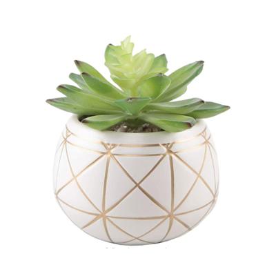 China Small Round Europe Decor Flowerpot Modern Indoor Home Ceramic Mini Flower Planter Succulent Pot With Gold Rim for sale