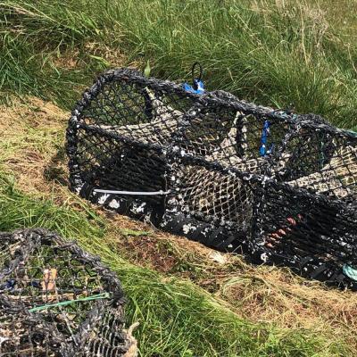 China Strong Corrosion Resistant Popular Prawn Traps Shrimp Fishing Basket Fishing Net Cage Net for sale