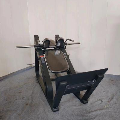 China Commercial Use Future Fitness High quality commercial gym fitness equipment manufacturer leg press hack slide for sale