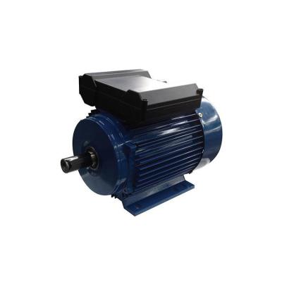 China 220V YL Series Single Phase Small Totally Enclosed Powerful Asynchronous Electric Motor for sale