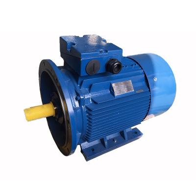 China Factory Direct Selling Yard Waterproof Powerful Series AC Asynchronous Electric Motors for sale