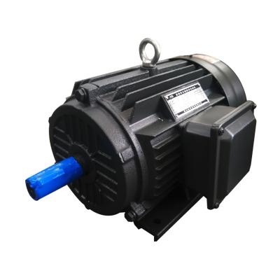 China YE3-100L-2P Powerful AC Totally Enclosed 3KW 3 Phase Electric Motors for sale